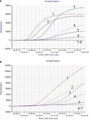 Development and Evaluation of the Rapid and Sensitive RPA Assays for Specific Detection of Salmonella spp. in Food Samples